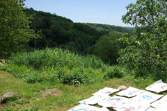 stage 2012
